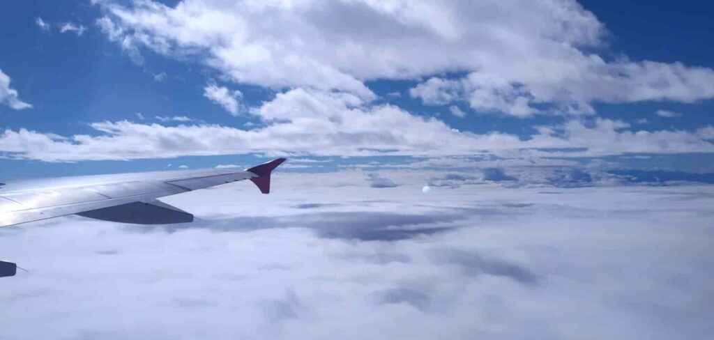 帰国した飛行機